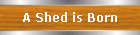 A Shed is Born